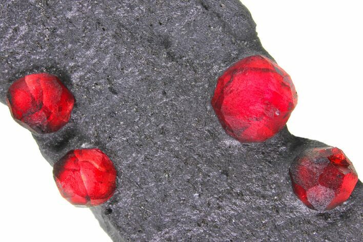 Plate of Four Red Embers Garnets in Graphite - Massachusetts #148148